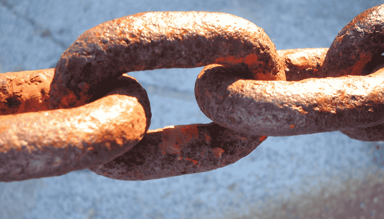 LinkedIn'de doğrulanma ve e-posta BIMI'nizin doğrulanması